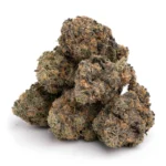 Bruce Banner #3